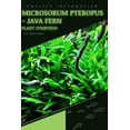 thumbnail image 1 of Microsorum Pteropus - Java Fern: From Novice to Expert. Comprehensive Aquarium Plants Guide, 1 of 1
