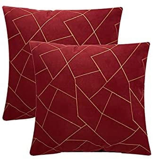 Microtex innovation Set of 2 Throw Pillows with Stuffing Included