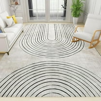 Mid Century Modern Geometric Black and White Lines Area Rug, Boho Abstract Distressed Large Rugs, for Room Sofa Living Room Mat Bedroom Home Decor Floor Mats,12x20in