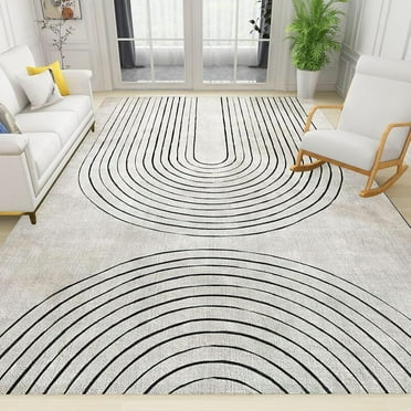 Mid Century Modern Geometric Black and White Lines Area Rug, Boho Abstract Distressed Large Rugs, for Room Sofa Living Room Mat Bedroom Home Decor Floor Mats,12x20in