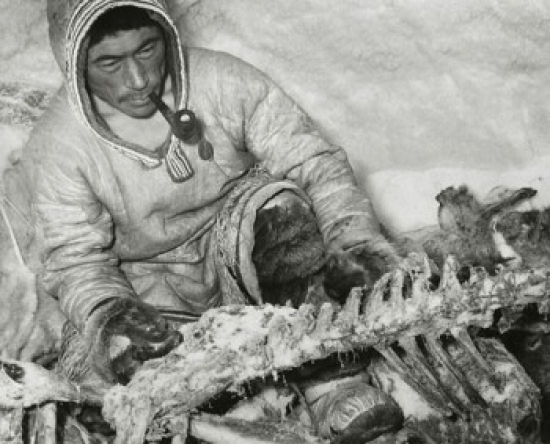 Mid adult Eskimo man holding the bone of a caribou Canvas Art - (18 x 24)