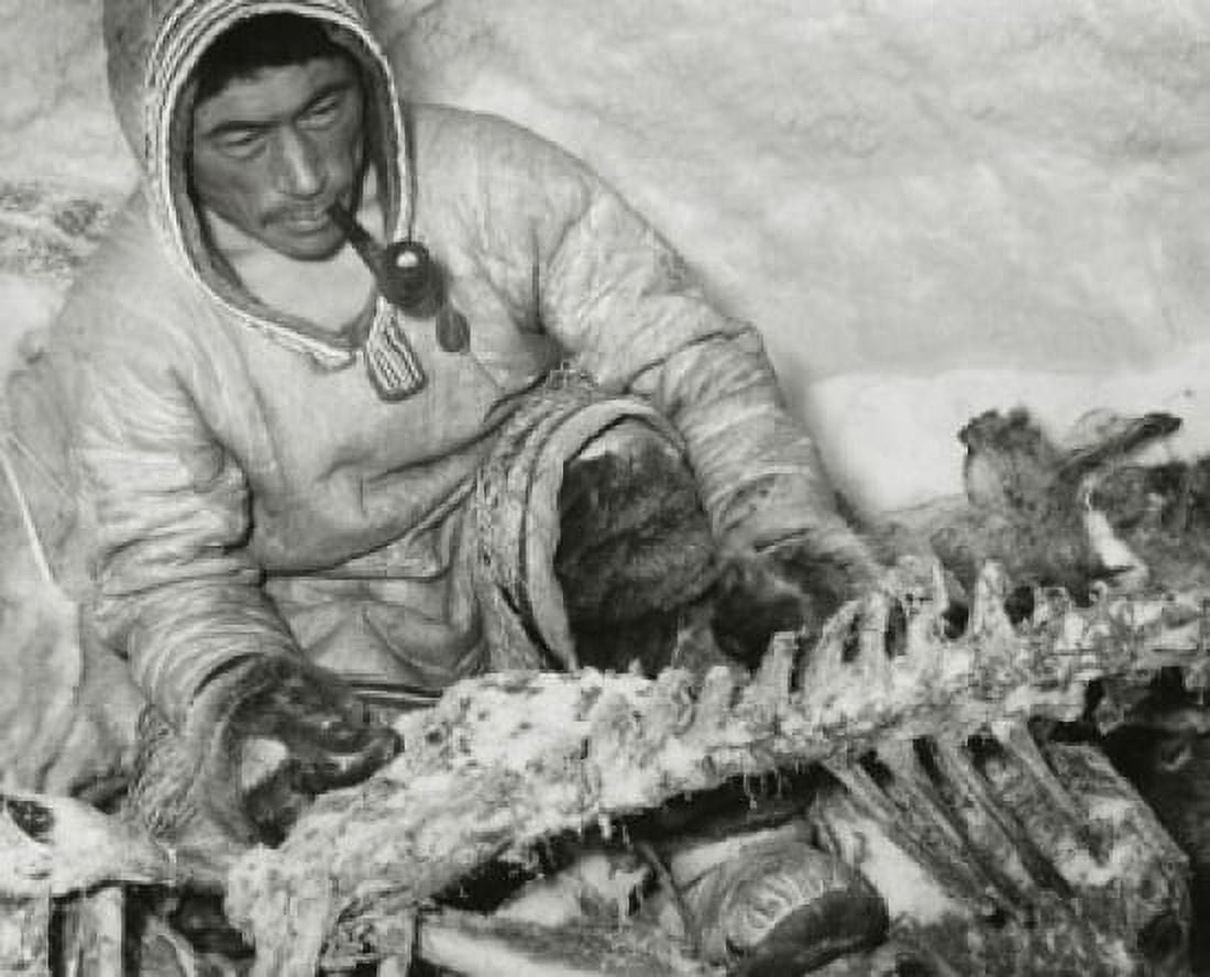 Mid adult Eskimo man holding the bone of a caribou Canvas Art - (24 x 36)
