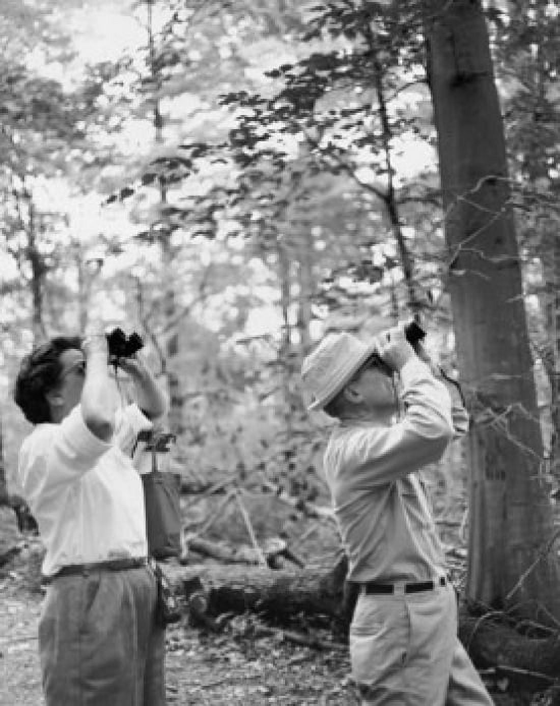 Mid adult couple looking through binoculars in a forest Canvas Art - (18 x 24)
