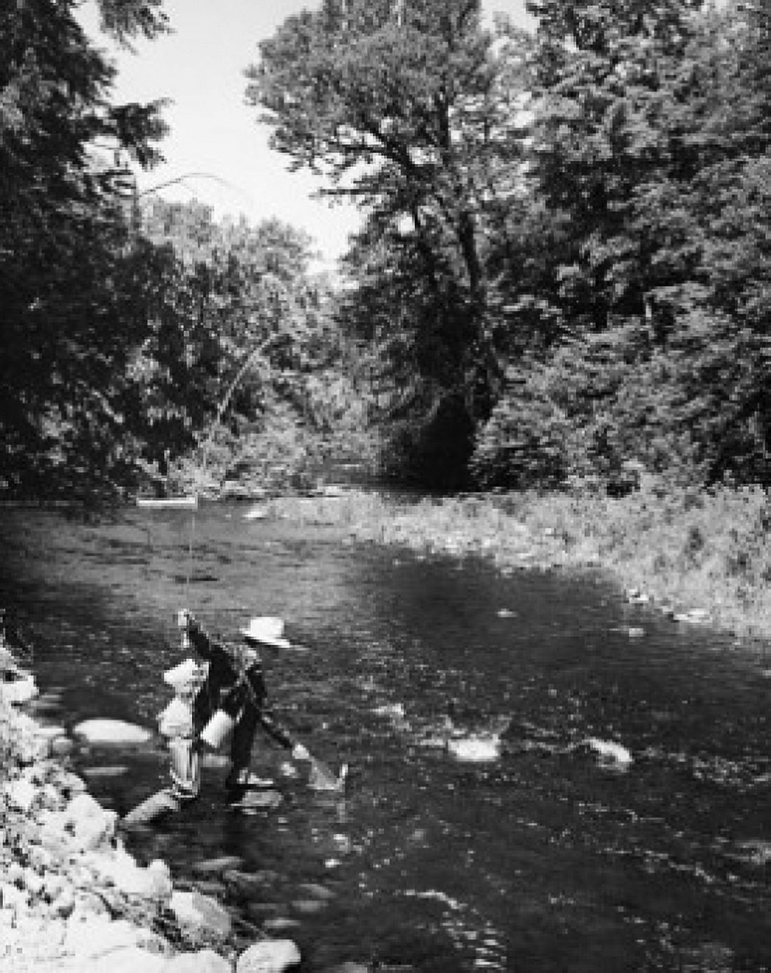 Mid adult man fly fishing in a stream Canvas Art -  (24 x 36)