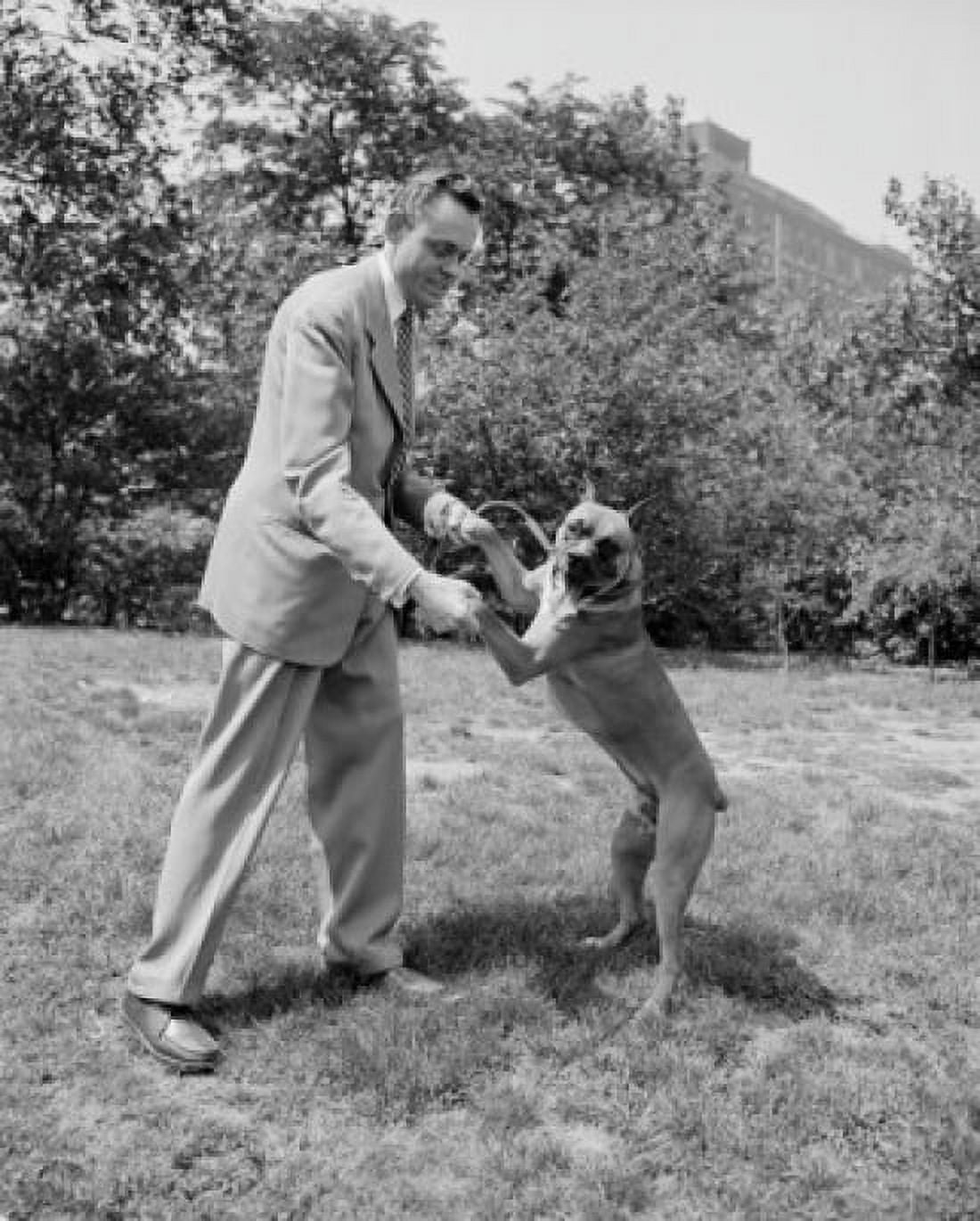 Mid adult man playing with dog in park Canvas Art - (18 x 24)