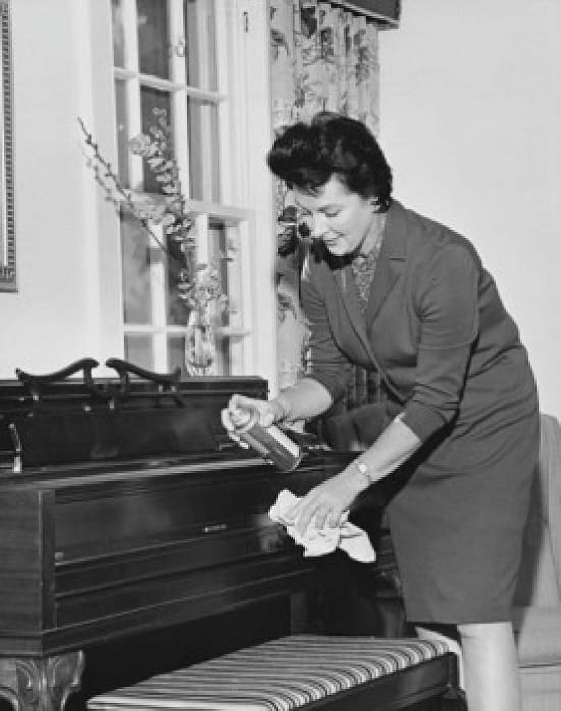 Mid adult woman cleaning a piano Canvas Art - (18 x 24)