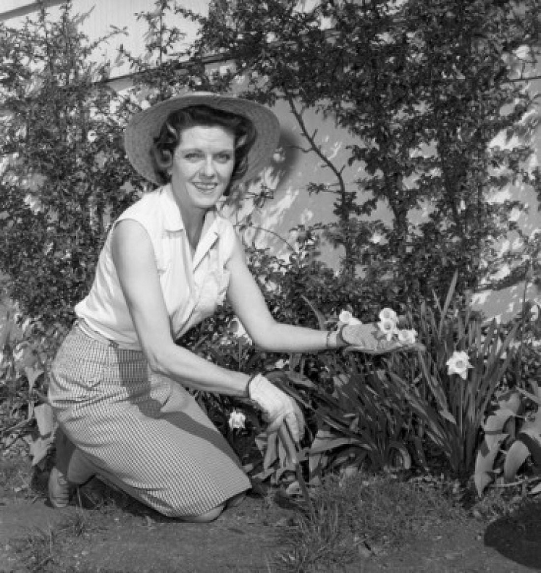 Mid adult woman gardening Canvas Art - (18 x 24)