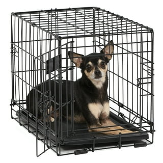 Big dog crates clearance petsmart