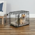 thumbnail image 1 of MidWest Double Door iCrate Metal Dog Crate, Includes Leak-Proof Pan, Floor Protecting Feet, Divider Panel; 24-inch, Black, 1 of 9