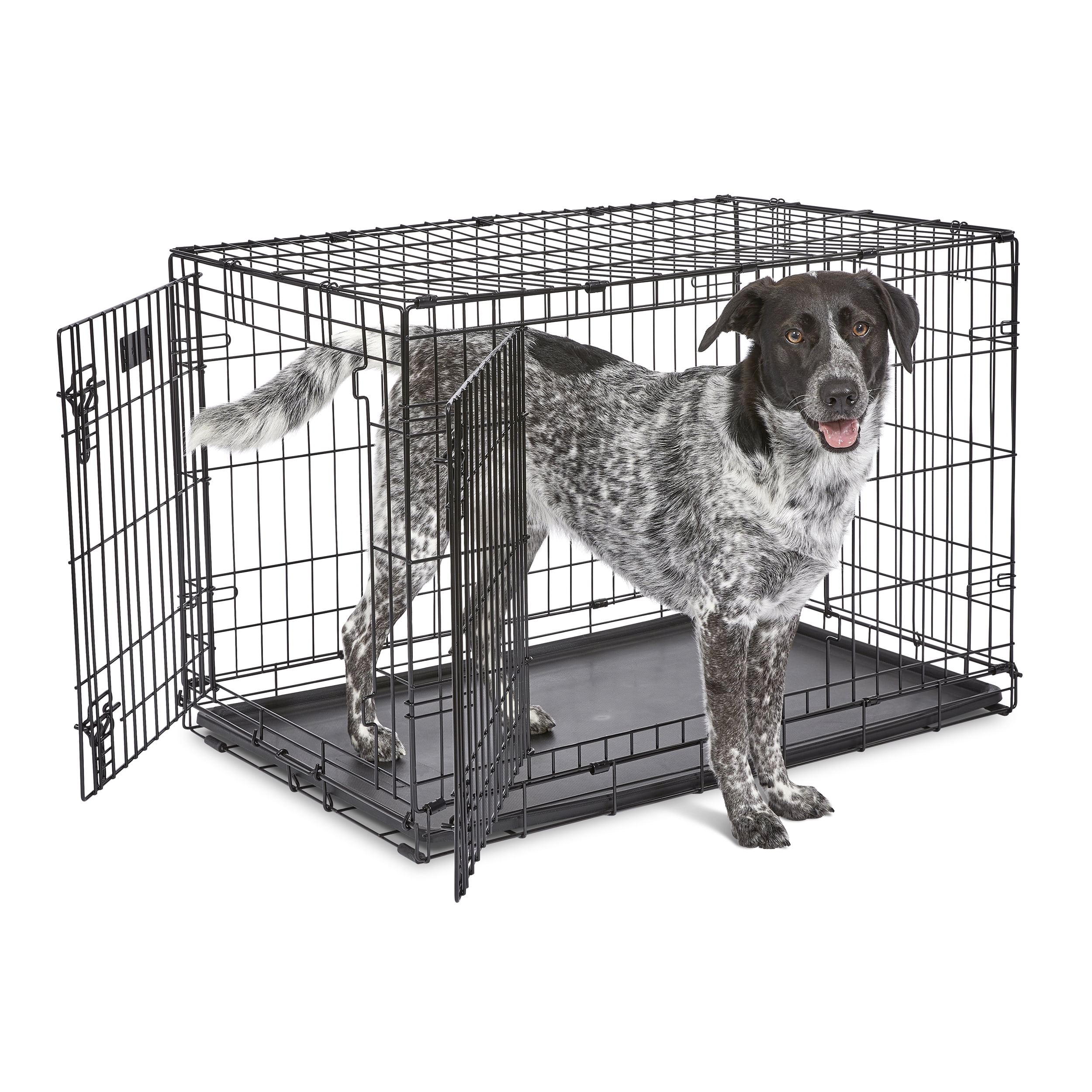 MidWest Homes for Pets 36-Inch Two-Door iCrate Folding Dog Crate