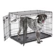 thumbnail image 1 of MidWest Homes for Pets 36-Inch Two-Door iCrate Folding Dog Crate with Divider Panel, Leak-Proof Tray & Secure Latches – Metal Wire Kennel for M-L Breeds – Portable, Durable & Easy to Assemble, 1 of 10