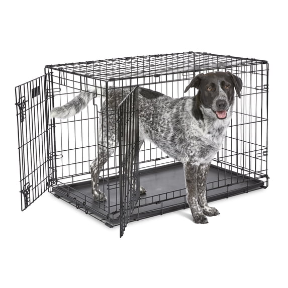 MidWest Homes for Pets 36-Inch Two-Door iCrate Folding Dog Crate with Divider Panel, Leak-Proof Tray & Secure Latches – Metal Wire Kennel for M-L Breeds – Portable, Durable & Easy to Assemble