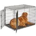 thumbnail image 1 of MidWest Homes For Pets Dog Crate Metal Wire Black 42 Inch Two-Door Foldable Large Breeds 1 Count, 1 of 10