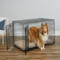 thumbnail image 1 of MidWest Homes for Pets 48-Inch Two-Door iCrate Folding Dog Crate with Divider Panel, Leak-Proof Tray & Secure Latches – Metal Wire Kennel for XL Breeds – Portable, Durable & Easy to Assemble, 1 of 9