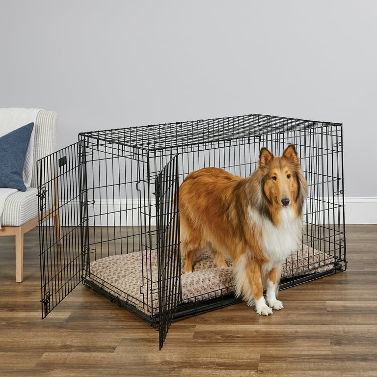  New World Newly Enhanced Single Door New World Dog Crate,  Includes Leak-Proof Pan, Floor Protecting Feet, & New Patented Features, 48  Inch : Pet Supplies