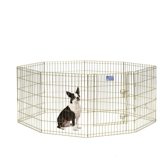 MidWest Homes For Pets Metal Exercise Pen / Pet Playpen, 30", Gold