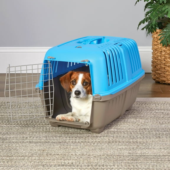 MidWest Homes For Pets Spree Hard-Sided Pet Carrier, 24-Inch Spree, Blue, 1-Door