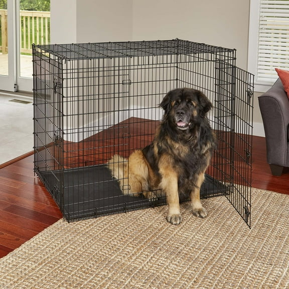 MidWest Homes For Pets Wire Dog Crate, Double Door, Foldable, Durable, Leak-Proof Pan Included, Metal, Black, Extra Extra Large, 54" L x 37" W x 45" H