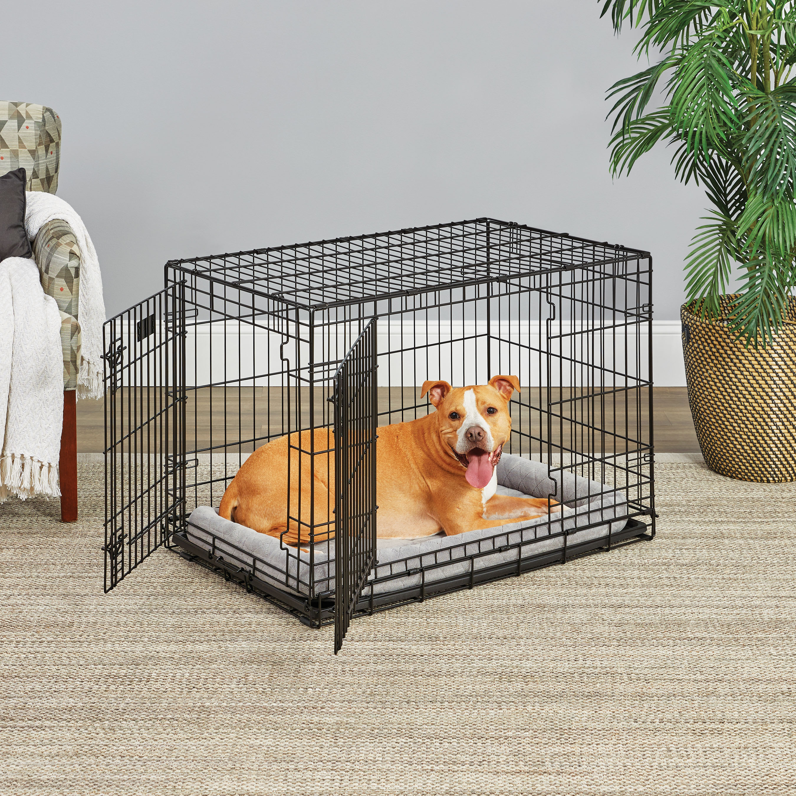 MidWest Homes for Pets Medium Dog Crate Newly Enhanced LifeStages 36' Double Door Folding Metal Dog Crate with Divider Panel, Floor Protecting Feet & Dog Pan, 1636DDU, 37.26L x 24.76W x 26.31H Inches - image 1 of 10