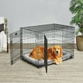 thumbnail image 1 of Midwest Homes for Pets LifeStages Double Door Folding Metal Crate with Divider, Floor Protecting Feet, Leak-Proof Pan, 42 x 28 x 31 inches, Suitable for Large Breed Dogs, 1 of 11