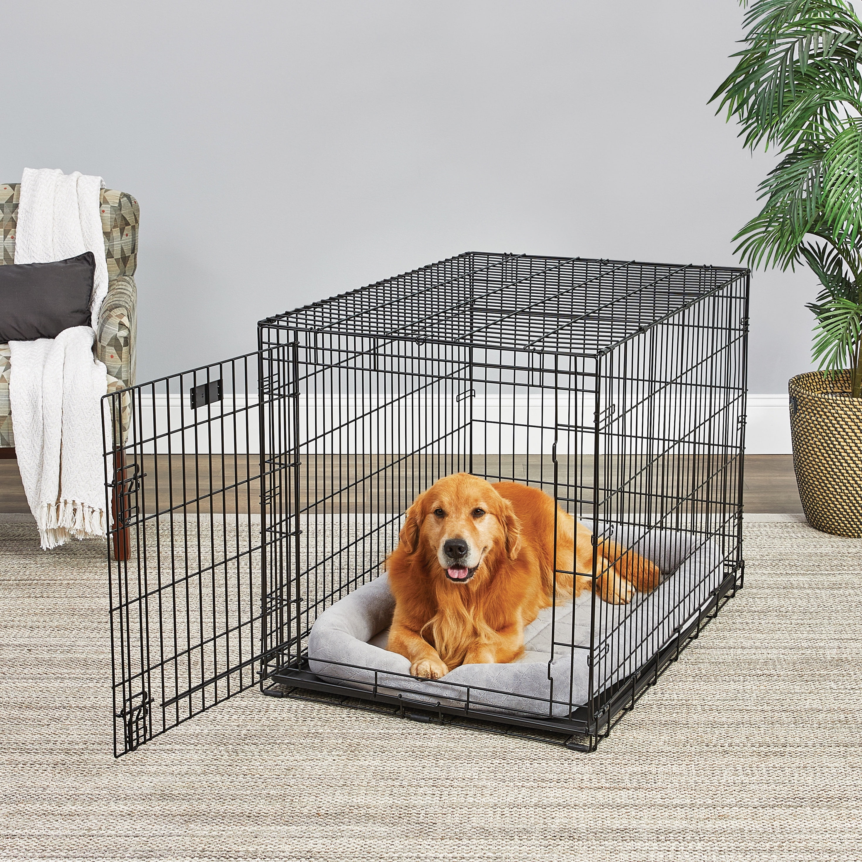 MidWest Homes LifeStages Folding Metal Dog Crate with Divider