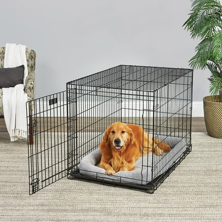 MidWest Homes LifeStages Folding Metal Dog Crate with Divider Panel, Rubber Feet, Leak-Proof Pan - 42x28x31 inches