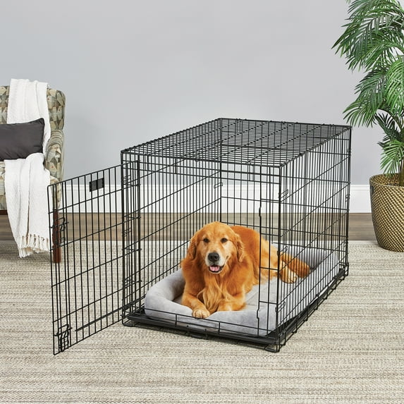 MidWest Homes LifeStages Folding Metal Dog Crate with Divider Panel, Rubber Feet, Leak-Proof Pan - 42x28x31 inches