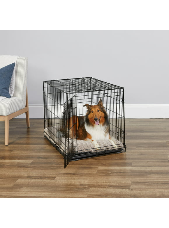 MidWest Homes for Pets Newly Enhanced Single Door iCrate Dog Crate, Includes Leak-Proof Pan, Floor Protecting Feet, Divider Panel & New Patented, 36 Inch