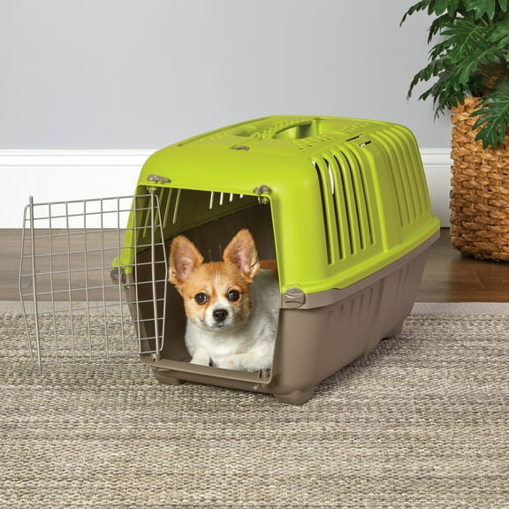 MidWest Homes for Pets Spree Travel Carrier – Hard-Sided Carrier for Dogs & Cats, Small, 24-inch, Green