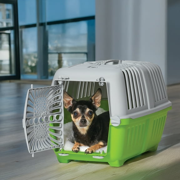 MidWest Homes for Pets 19 inch Spree Travel Pet Carrier for Dog or Cat with Plastic Door, Green