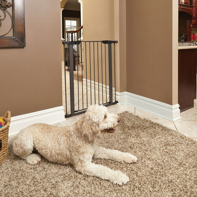 MidWest Homes for Pets 39’’ Walk-Through Dog Gate, Steel/Graphite 29''W, expand to 38'' w/extensions