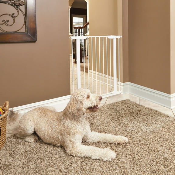 MidWest Homes for Pets 39" White Steel Pet Gate