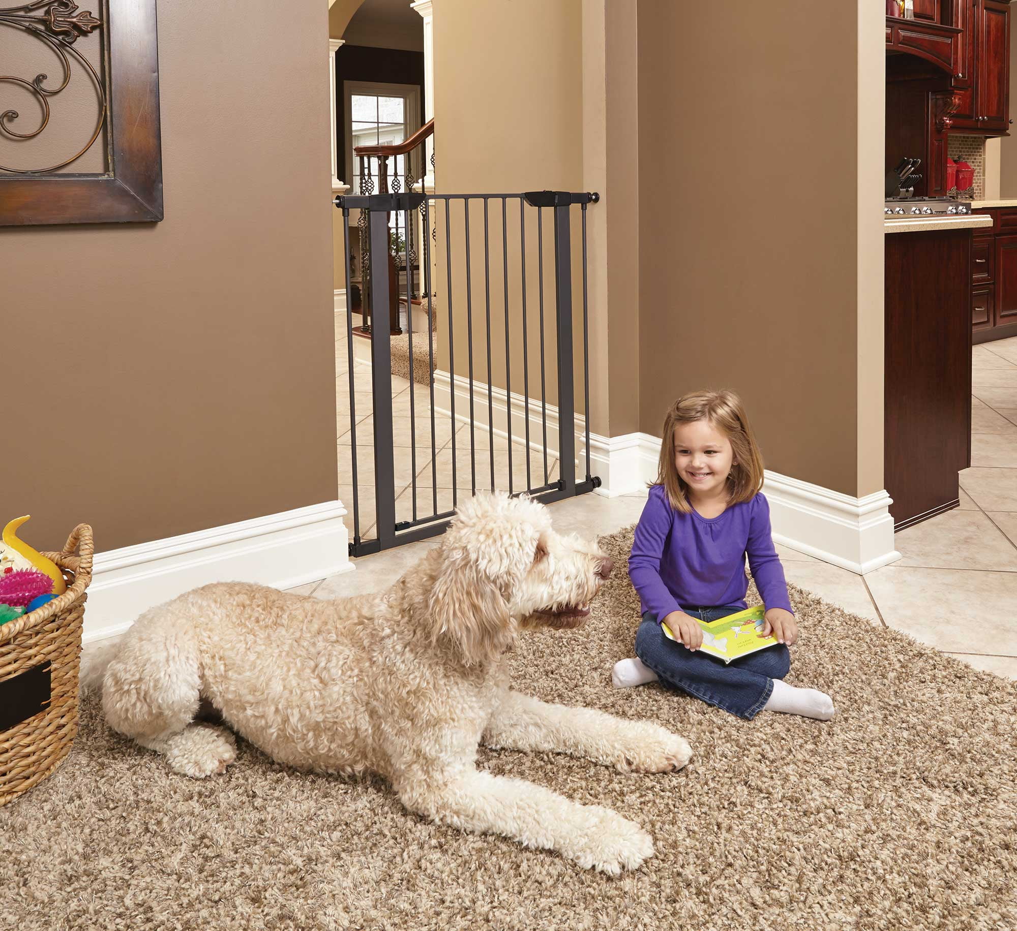 MidWest Homes for Pets 39 inch Graphite Steel Pet Gate