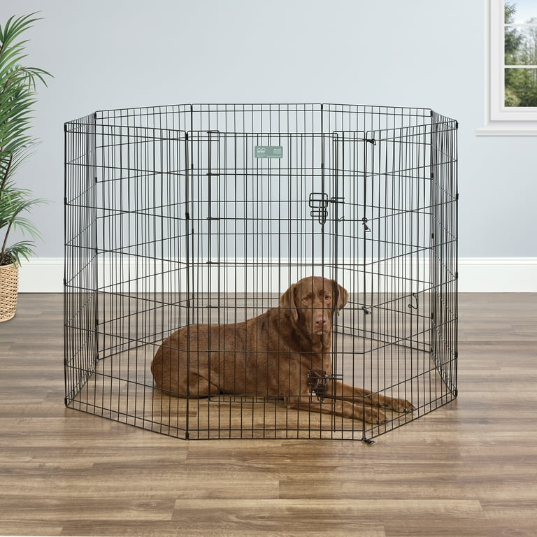 MidWest Home for Pets Metal Exercise Pet Dog Playpen With Door,