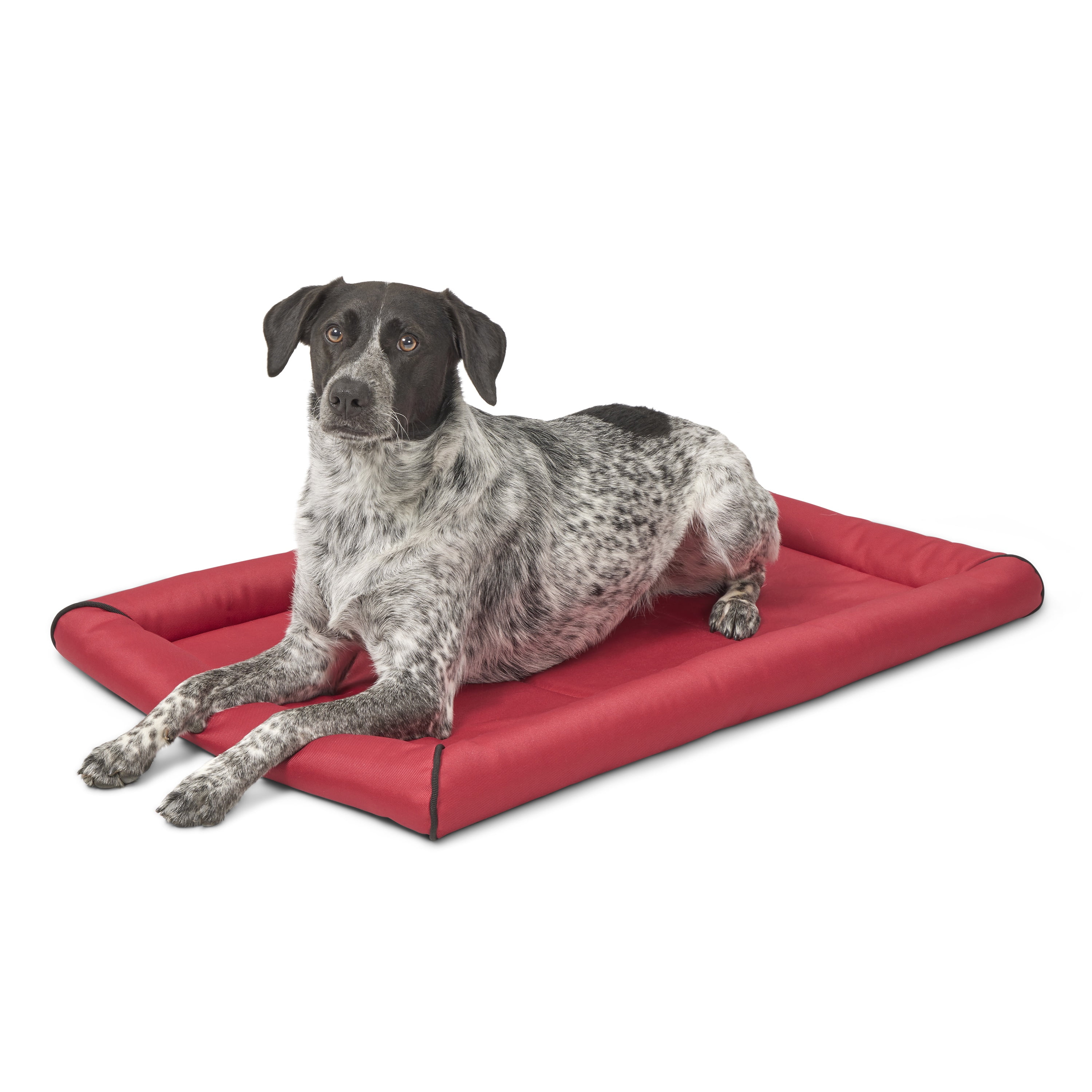 MidWest Homes for Pets Maxx Dog Bed Designed to Fit a 36-Inch Dog Crate, 36-inch, Red