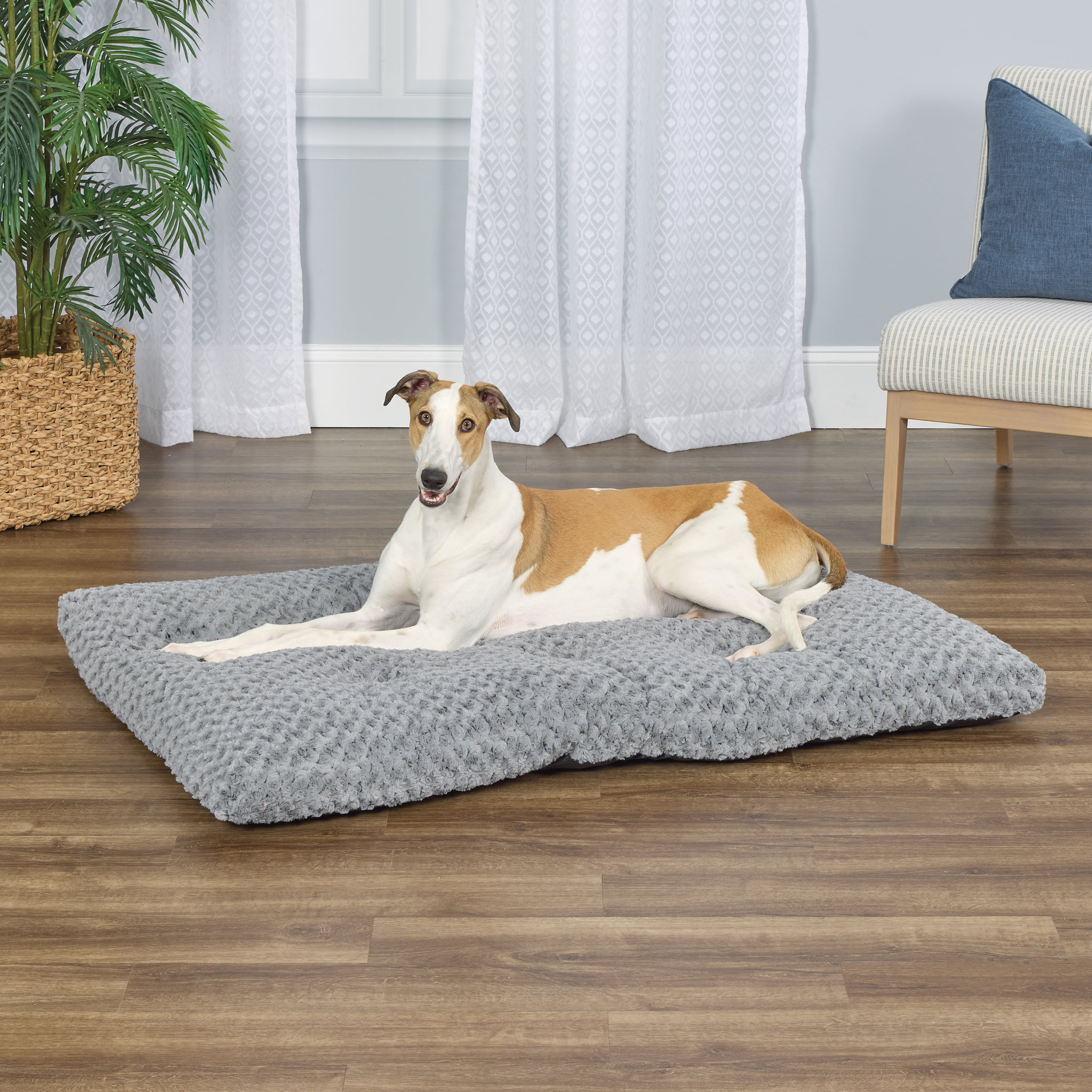 MidWest Homes for Pets Plush Gray Ombe 54''x36'' Swirl Dog Bed; for Giant Breeds; 40654-SGB