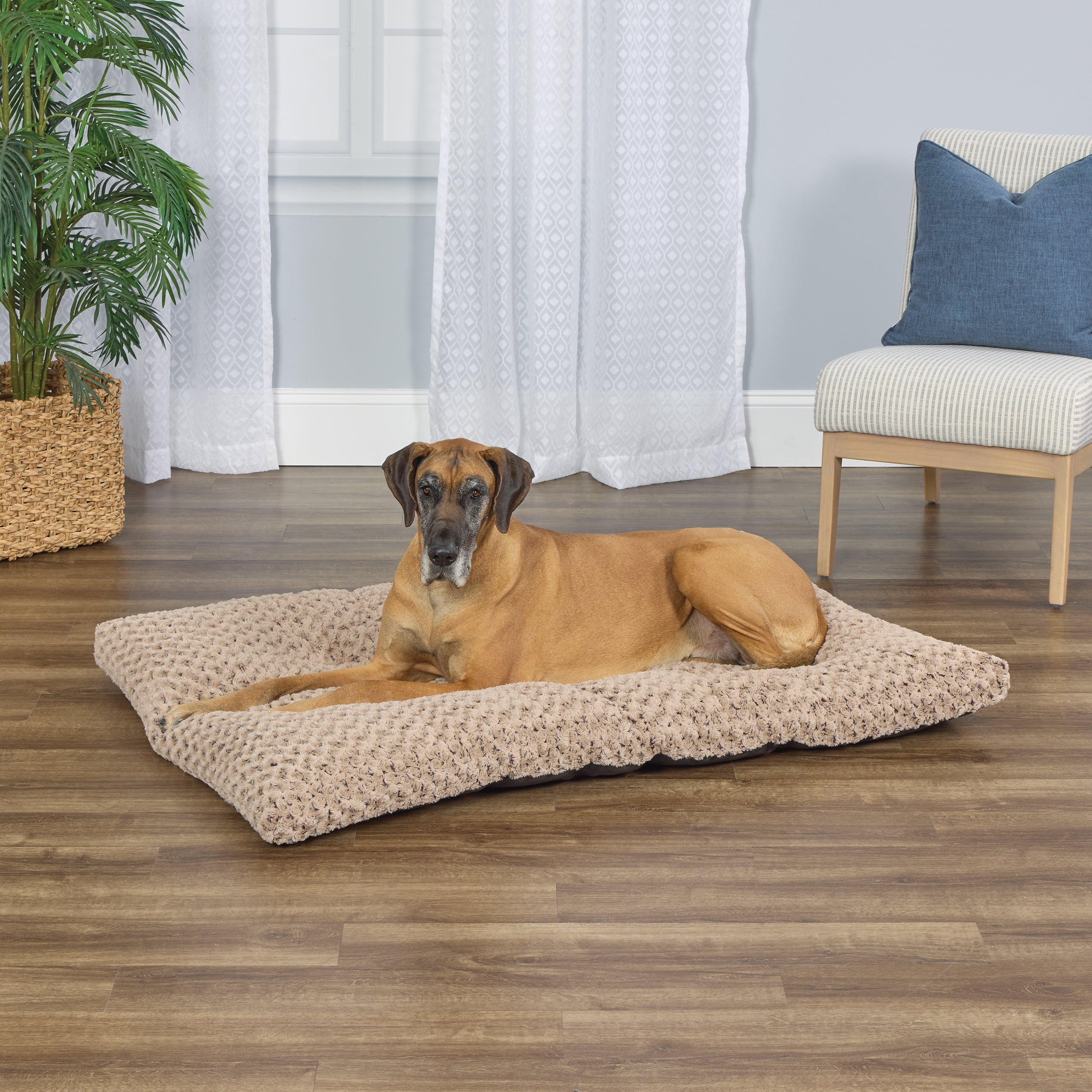MidWest Homes for Pets Plush Ombre Swirl Dog Bed; Mocha 54''L x 36