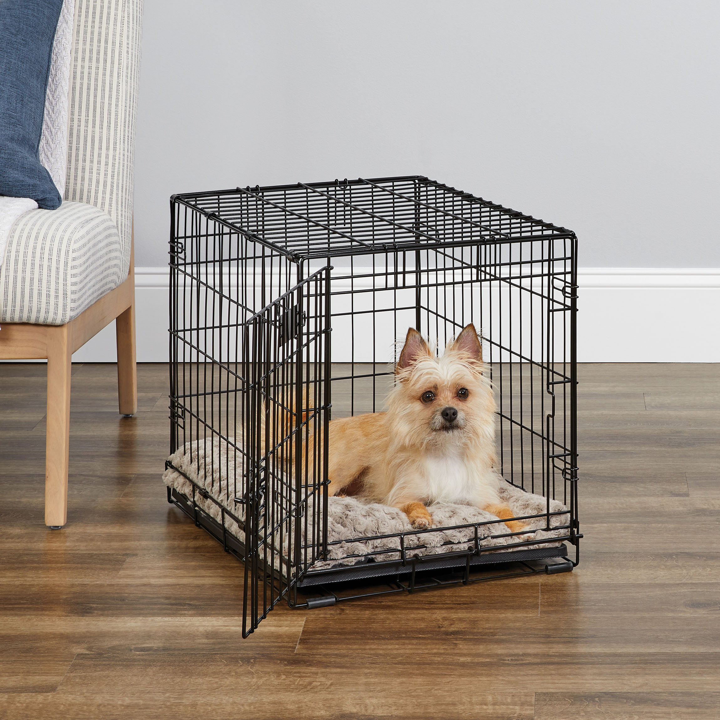 MidWest Homes for Pets Single Door iCrate Metal Dog Crate, 24" - image 1 of 8