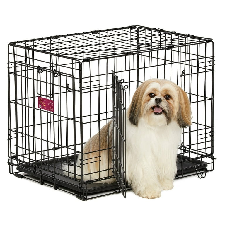 Ace pet crate cheap