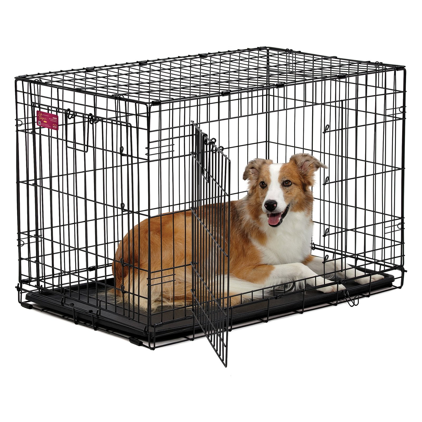 Midwest life stages top double door dog crate