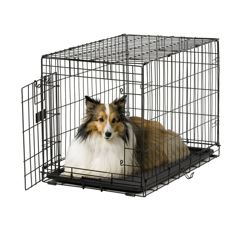 Life stages clearance ace dog crate