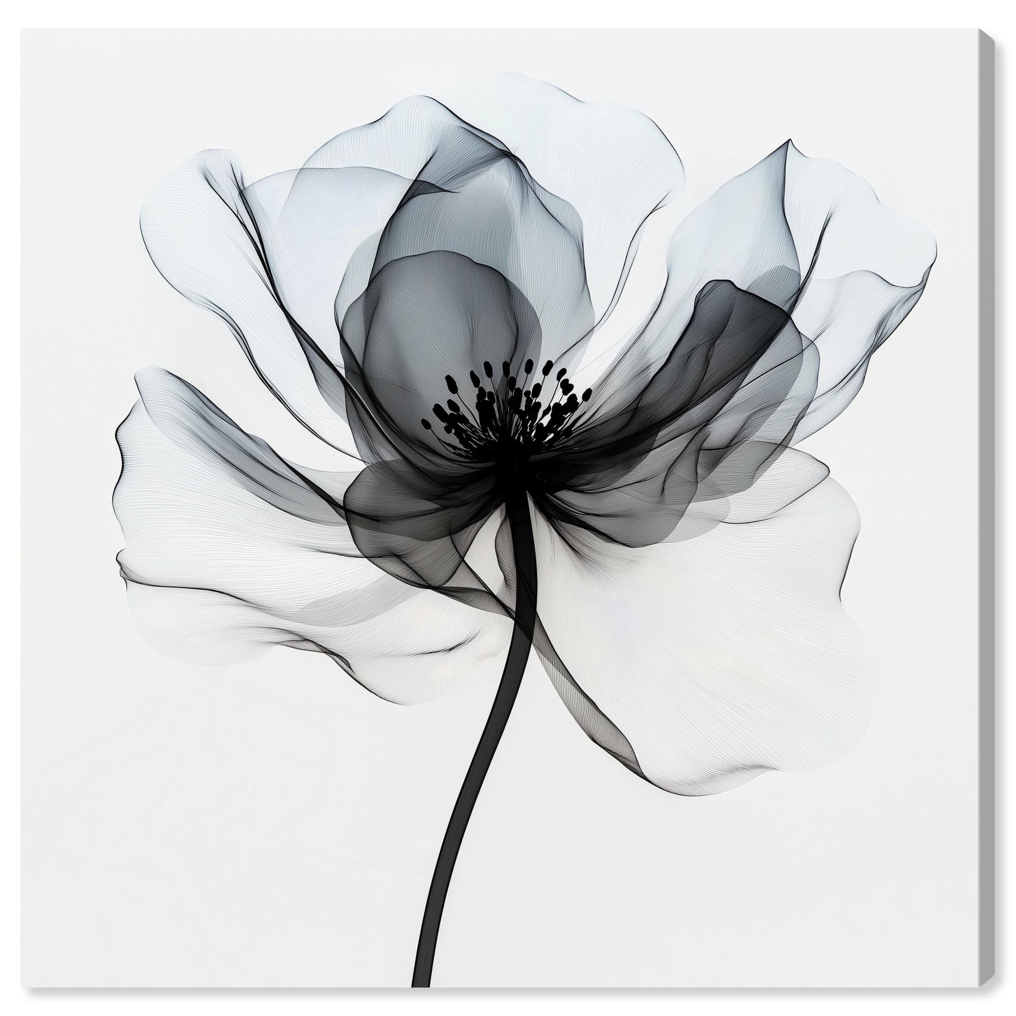 Midania II Canvas Blue Floral Art by Art Remedy, Gallery Wrapped, 12 x ...