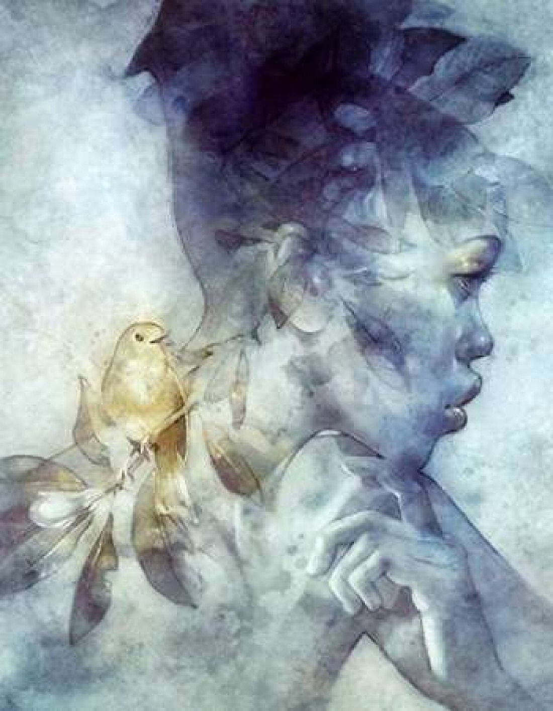 Midas Canvas Art - Anna Dittman (22 x 28)