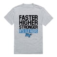 thumbnail image 1 of Middle Tennessee State University Blue Raiders Workout T-Shirt, Heather Grey - Medium, 1 of 1