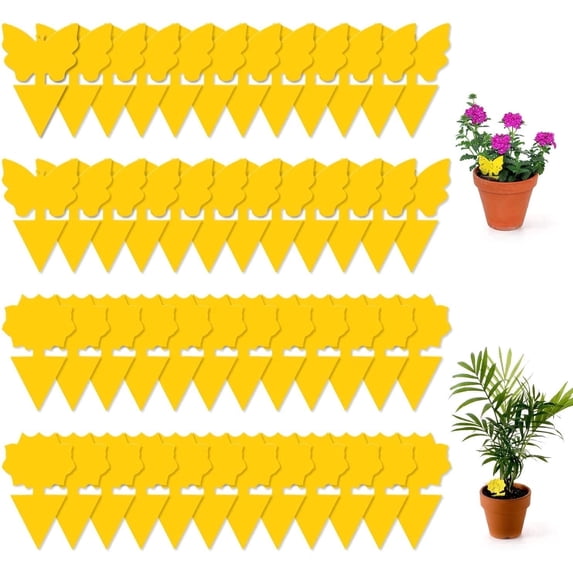 48 Pack Sticky Fruit Fly Traps and Fungus Gnat Trap Killer for Indoor Outdoor, House Plant Trap for Fruit Flies, Flying Insects