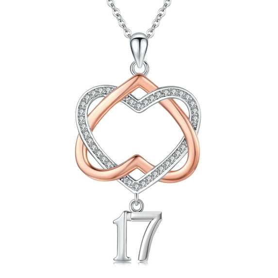 Midir&Etain 17 Year Old Birthday Gifts / 17th Birthday Gifts for Daughter 925 Sterling Silver Heart Pendant Necklace for Women Friend Sister Mothers Day Christmas Anniversary Jewelry