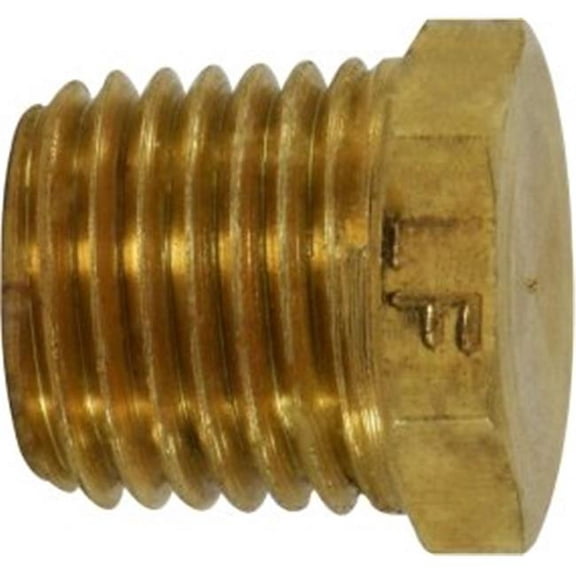 Midland Industries 28202LF 0.25 in. MIP  Solid & Cored Hex Plugs