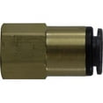 thumbnail image 1 of Midland Industries 660606C 0.37 x 0.37 in. Push-in x FIP DOT Composite Adapter, 1 of 1