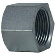 thumbnail image 1 of Midland Industries 66471 0.25 in. Zinc Plated Steel Hex Cap, 1 of 1