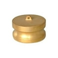 thumbnail image 1 of Midland Industries CDP-300-B1 3 in. Brass Dust Plug, 1 of 1